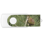 Torrey Pine Closeup California Botanical Flash Drive