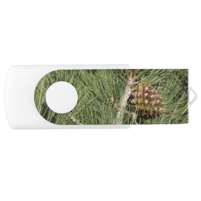 Torrey Pine Closeup California Botanical Flash Drive (Front)