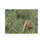 Torrey Pine Closeup California Botanical Fleece Blanket