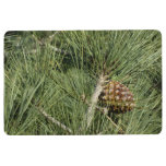 Torrey Pine Closeup California Botanical Floor Mat