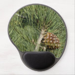 Torrey Pine Closeup California Botanical Gel Mouse Pad