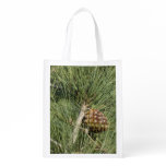 Torrey Pine Closeup California Botanical Grocery Bag