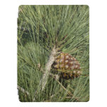 Torrey Pine Closeup California Botanical iPad Pro Cover