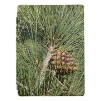 Torrey Pine Closeup California Botanical iPad Pro Cover