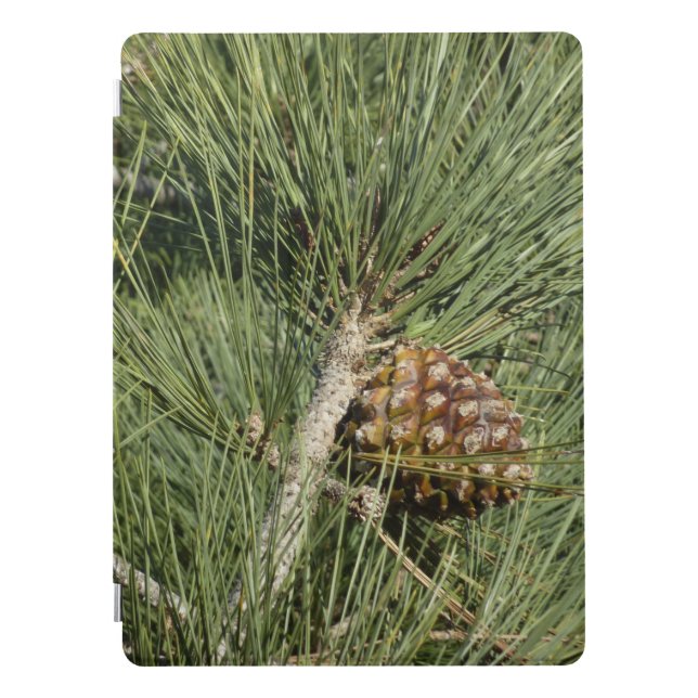 Torrey Pine Closeup California Botanical iPad Pro Cover (Front)