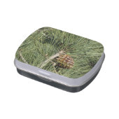Torrey Pine Closeup California Botanical Jelly Belly Tin (Side)
