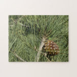 Torrey Pine Closeup California Botanical Jigsaw Puzzle
