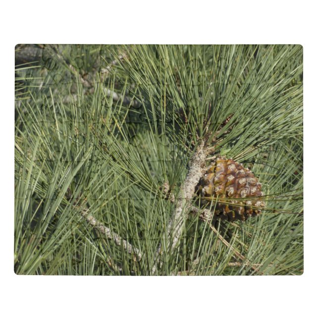 Torrey Pine Closeup California Botanical Jigsaw Puzzle (Puzzle Horizontal)
