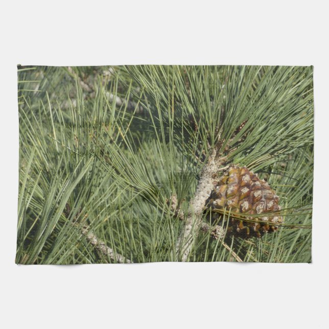 Torrey Pine Closeup California Botanical Kitchen Towel (Horizontal)