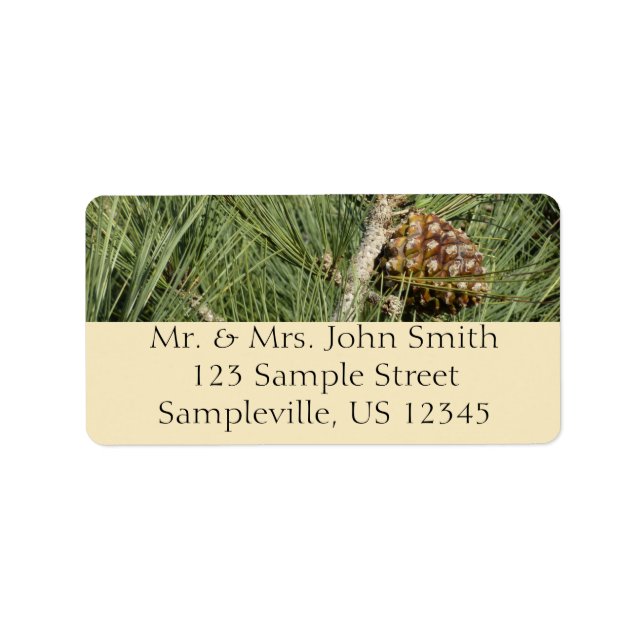 Torrey Pine Closeup California Botanical Label (Front)