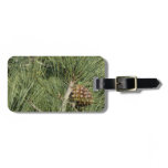 Torrey Pine Closeup California Botanical Luggage Tag