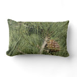 Torrey Pine Closeup California Botanical Lumbar Pillow