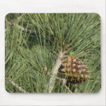 Torrey Pine Closeup California Botanical Mouse Pad