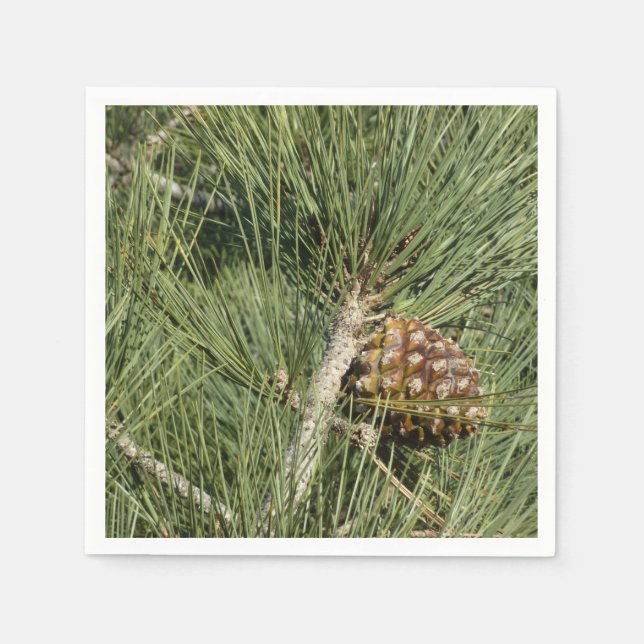 Torrey Pine Closeup California Botanical Napkins (Front)
