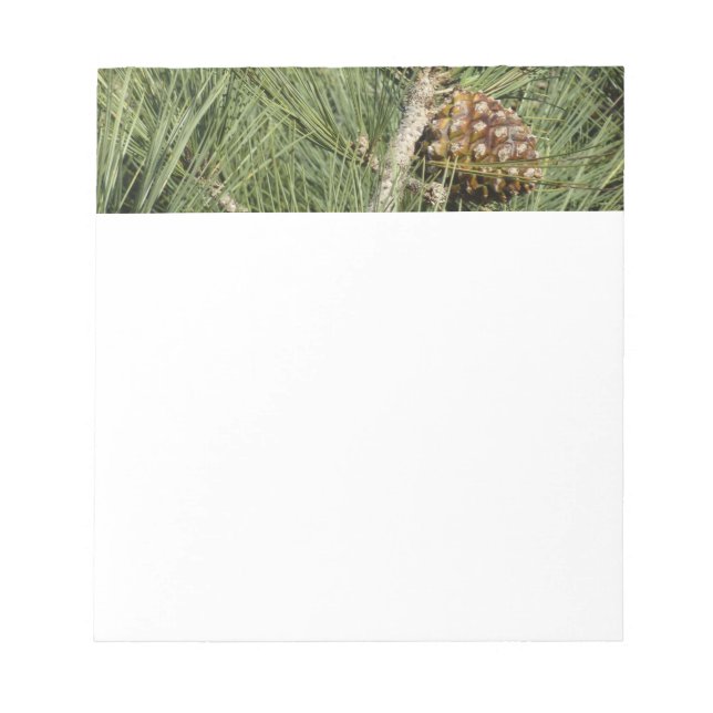 Torrey Pine Closeup California Botanical Notepad (Front)