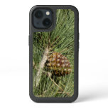 Torrey Pine Closeup California Botanical iPhone 13 Case