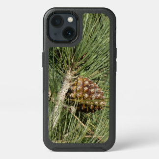 Torrey Pine Closeup California Botanical iPhone 13 Case