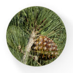 Torrey Pine Closeup California Botanical Paperweight