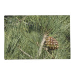 Torrey Pine Closeup California Botanical Placemat