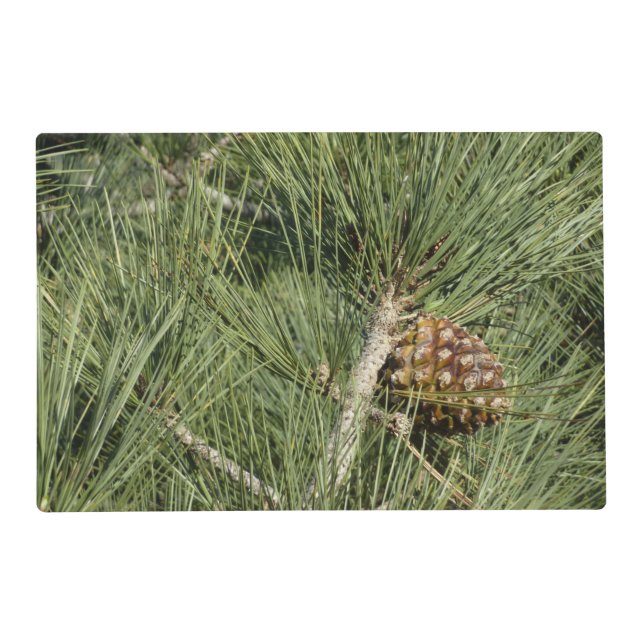 Torrey Pine Closeup California Botanical Placemat (Front)