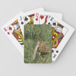Torrey Pine Closeup California Botanical Playing Cards