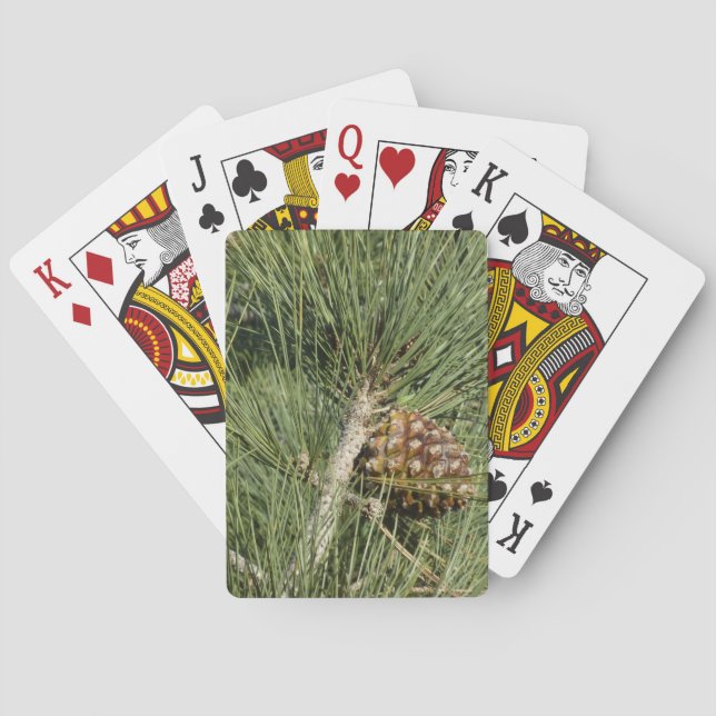 Torrey Pine Closeup California Botanical Poker Cards (Back)
