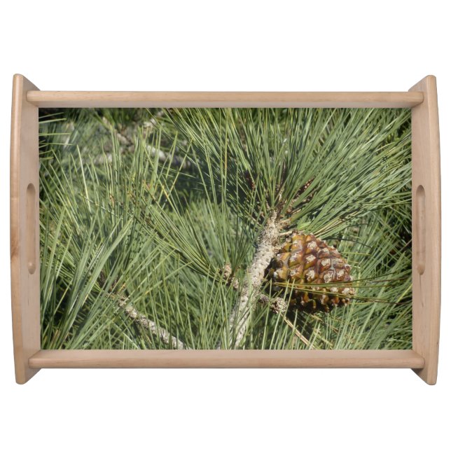 Torrey Pine Closeup California Botanical Serving Tray (Front)