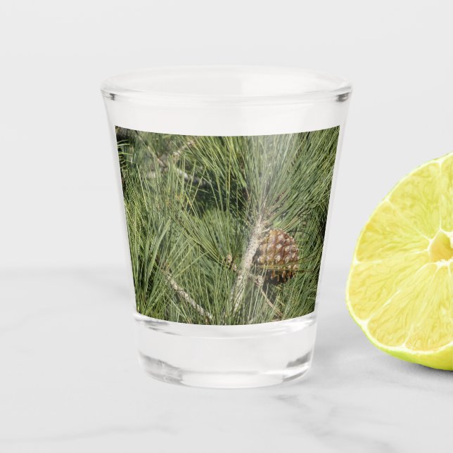 Torrey Pine Closeup California Botanical Shot Glass (Front)