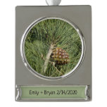 Torrey Pine Closeup California Botanical Silver Plated Banner Ornament
