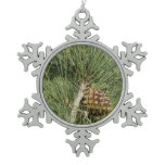 Torrey Pine Closeup California Botanical Snowflake Pewter Christmas Ornament