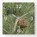 Torrey Pine Closeup California Botanical Square Wall Clock