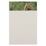 Torrey Pine Closeup California Botanical Stationery