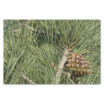 Torrey Pine Closeup California Botanical Tissue Paper