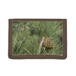 Torrey Pine Closeup California Botanical Tri-fold Wallet