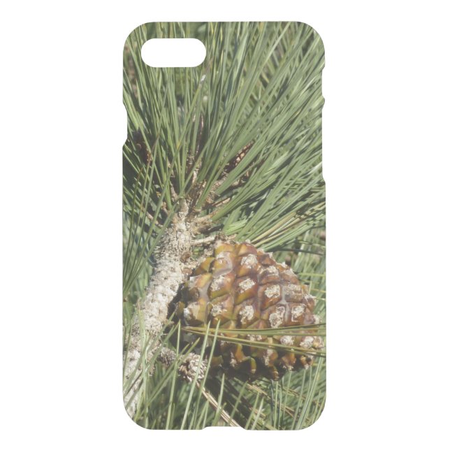 Torrey Pine Closeup California Botanical Uncommon iPhone Case (Back)