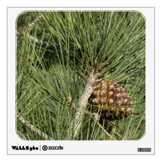 Torrey Pine Closeup California Botanical Wall Sticker