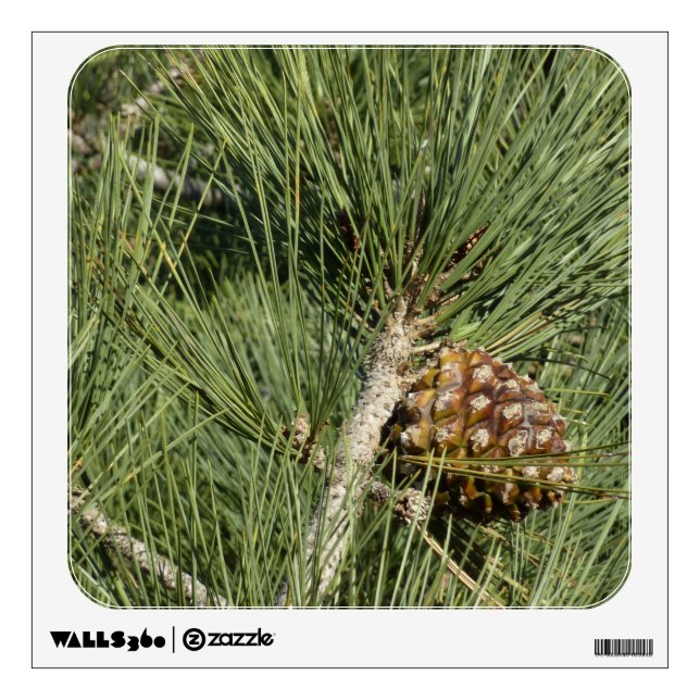 Torrey Pine Closeup California Botanical Wall Sticker (Front)