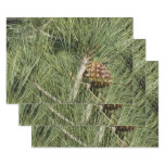 Torrey Pine Closeup California Botanical Wrapping Paper Sheets