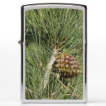 Torrey Pine Closeup California Botanical Zippo Lighter