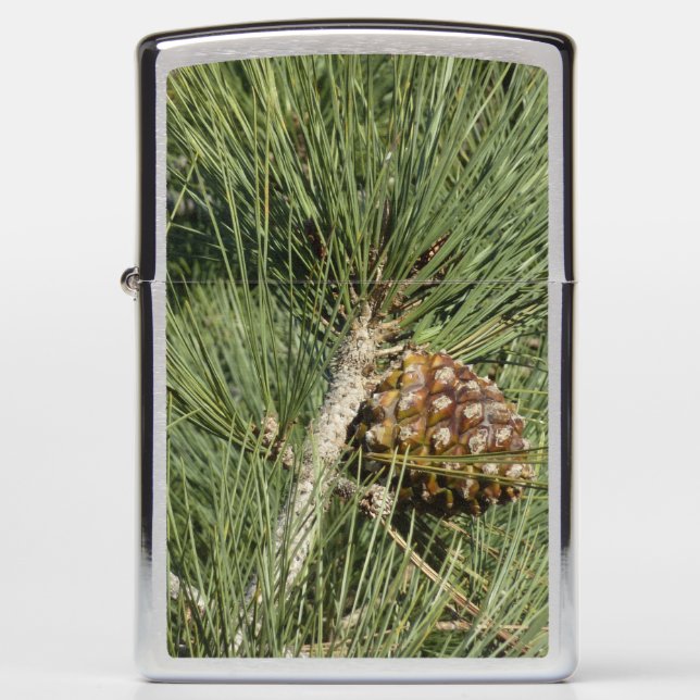 Torrey Pine Closeup California Botanical Zippo Lighter (Front)