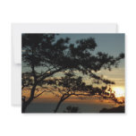Torrey Pine Sunset I California Landscape