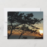 Torrey Pine Sunset I California Landscape