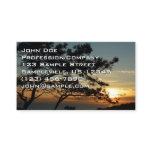 Torrey Pine Sunset I California Landscape Business Card