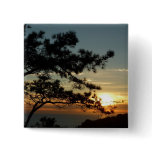 Torrey Pine Sunset I California Landscape Button
