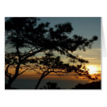 Torrey Pine Sunset I California Landscape Card
