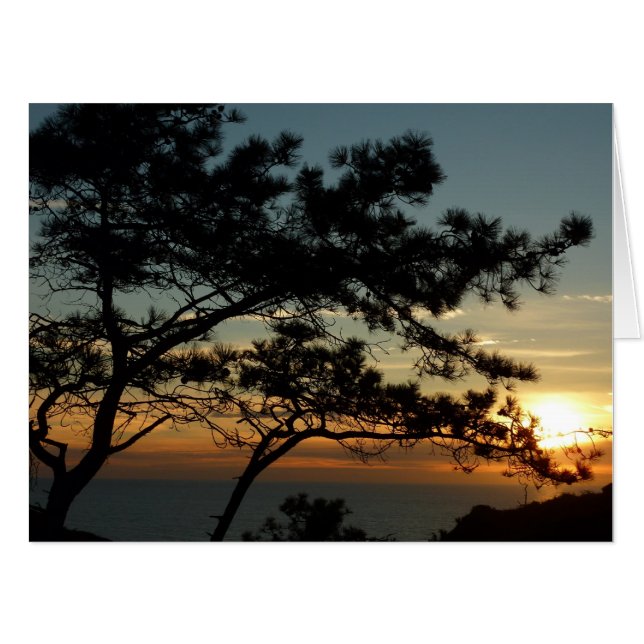 Torrey Pine Sunset I California Landscape Card (Front Horizontal)