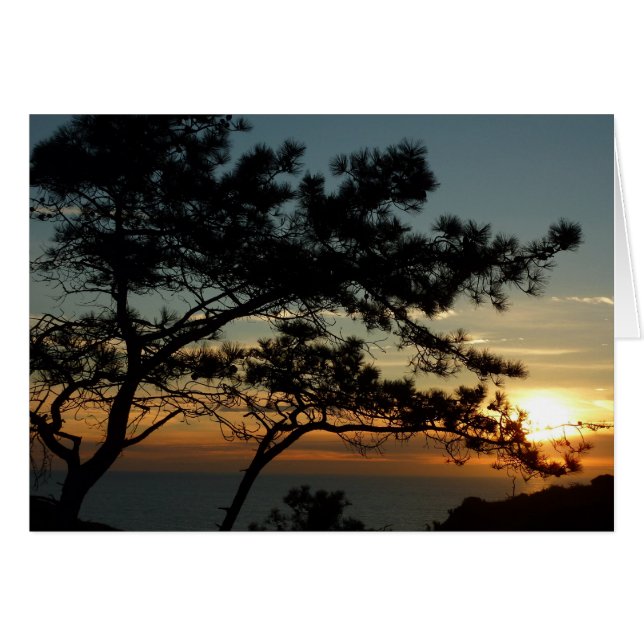 Torrey Pine Sunset I California Landscape Cards (Front Horizontal)