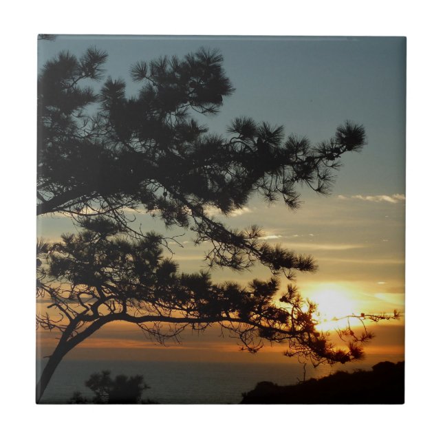 Torrey Pine Sunset I California Landscape Ceramic Tile (Front)