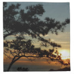 Torrey Pine Sunset I California Landscape Cloth Napkin
