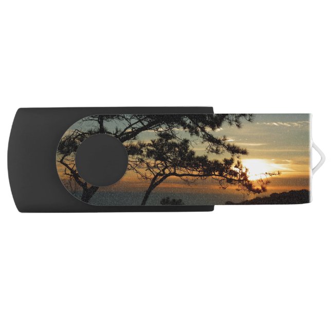 Torrey Pine Sunset I California Landscape Flash Drive (Front)